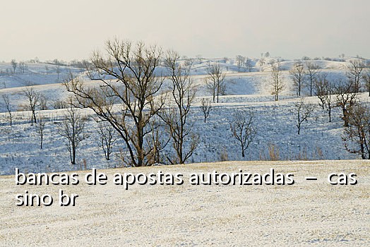 bancas de apostas autorizadas - cassino br