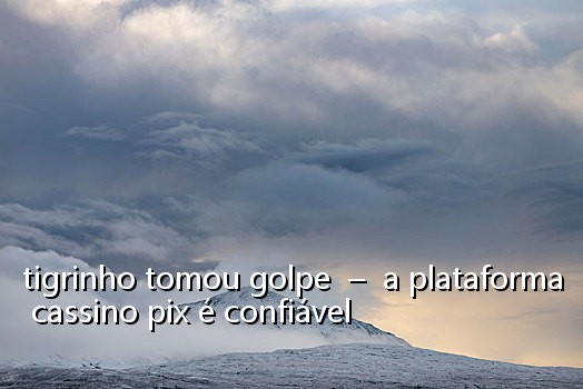 tigrinho tomou golpe - a plataforma cassino pix é confiável