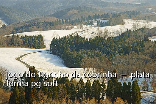 jogo do tigrinho da cobrinha - plataforma pg soft