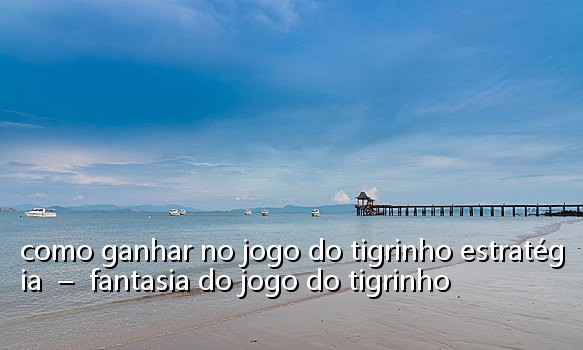 como ganhar no jogo do tigrinho estratégia - fantasia do jogo do tigrinho