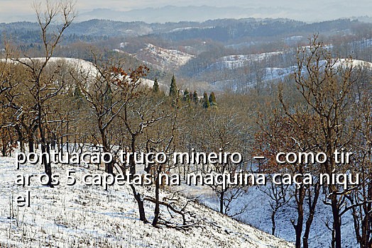 pontuação truco mineiro - como tirar os 5 capetas na máquina caça níquel