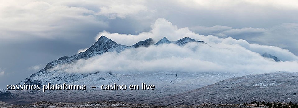 cassinos plataforma - casino en live