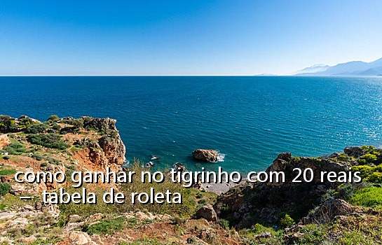 como ganhar no tigrinho com 20 reais - tabela de roleta