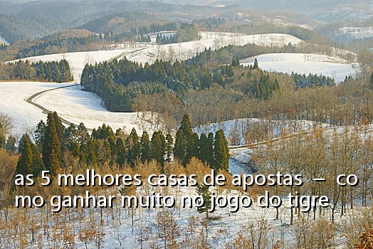 as 5 melhores casas de apostas - como ganhar muito no jogo do tigre