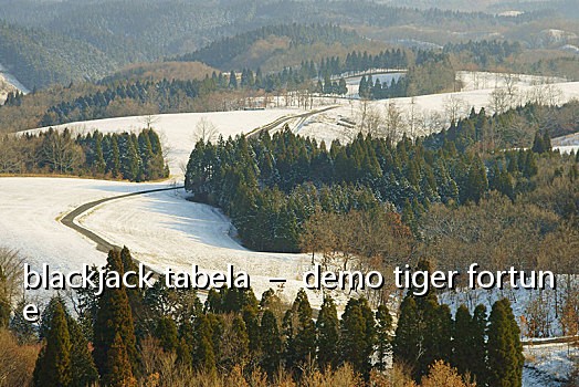 blackjack tabela - demo tiger fortune