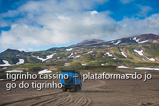 tigrinho cassino – plataformas do jogo do tigrinho