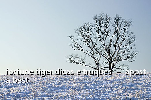 fortune tiger dicas e truques – aposta best